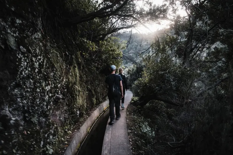 Parque das Queimadas e as suas levadas, Madeira