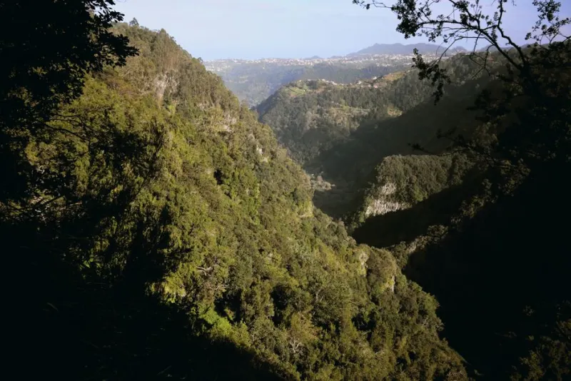 Vale de Serra de Água no interior da Madeira
